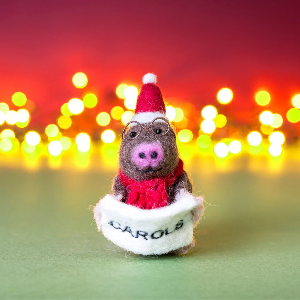 Amica Mole Singing Carols