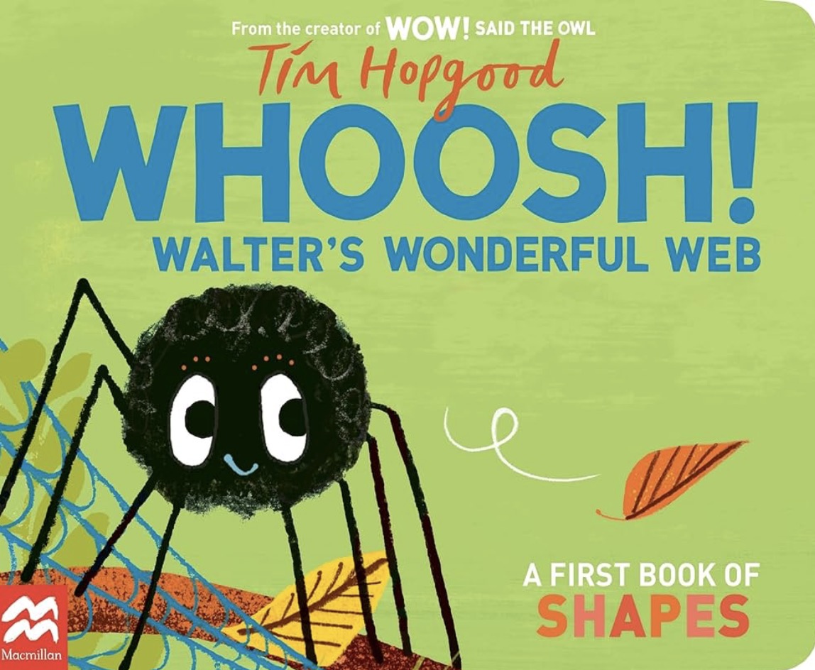 WHOOSH! Walter's Wonderful Web by Tim Hopgood