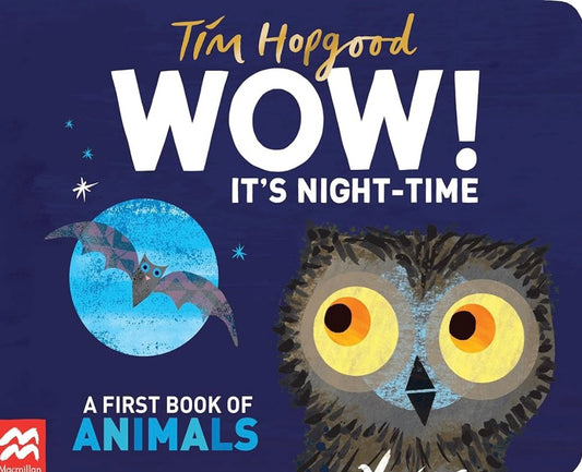 WOW! It’s Night-Time by Tim Hopgood